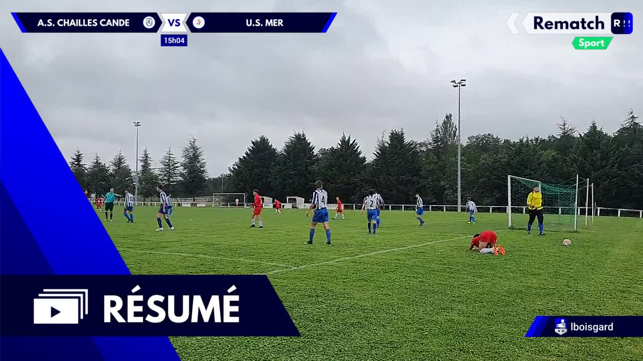 Vignette du résumé