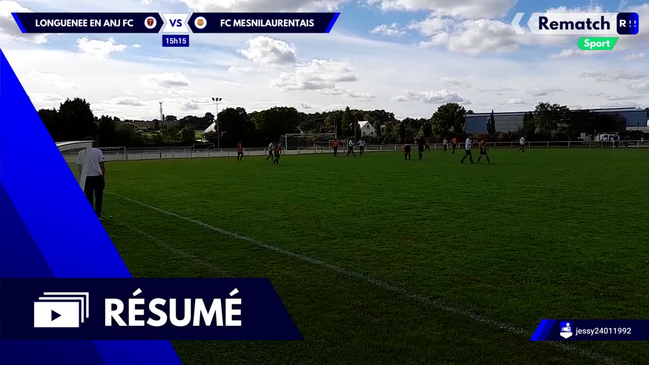 Vignette du résumé