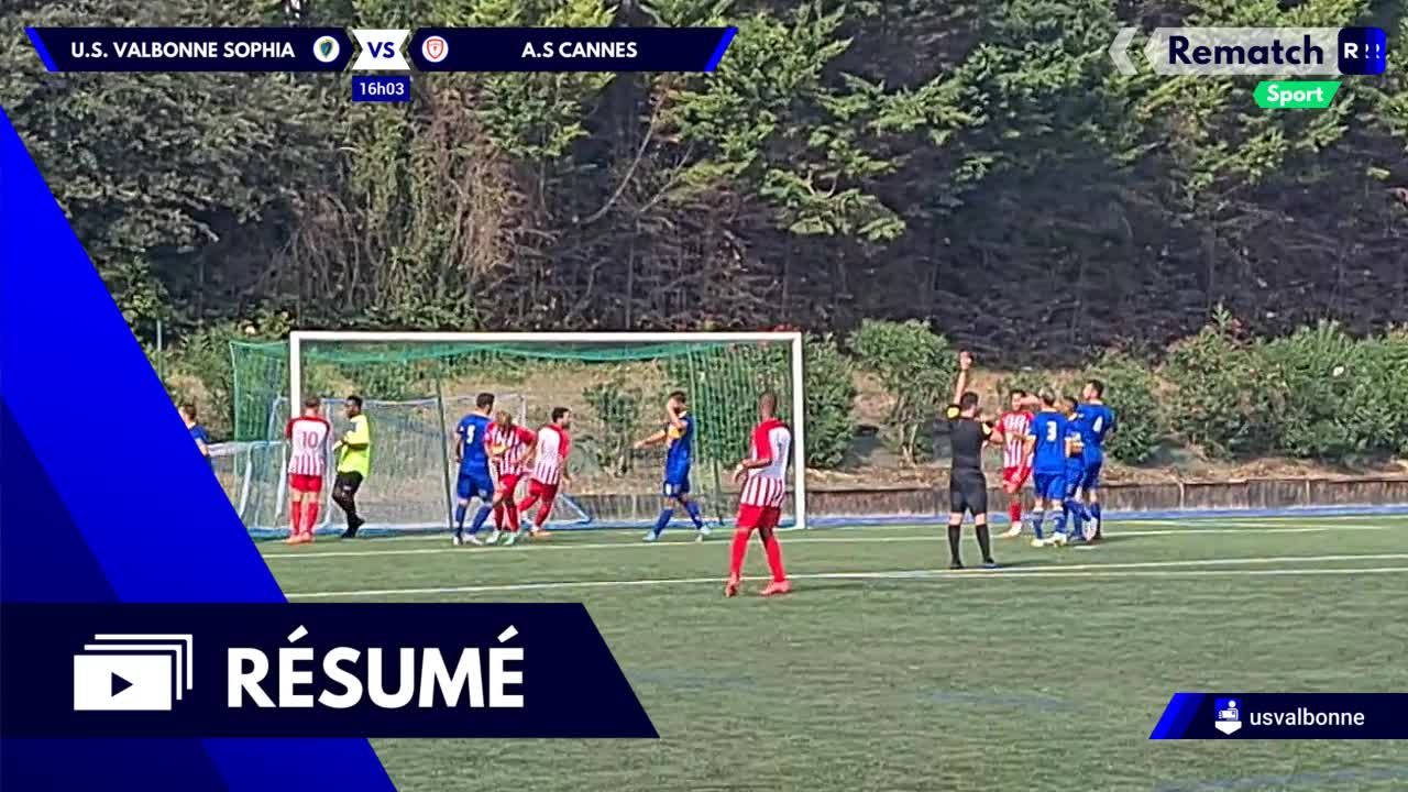 Vignette du résumé