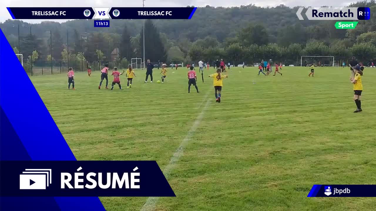 Vignette du résumé