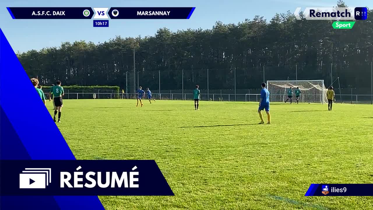 Vignette du résumé