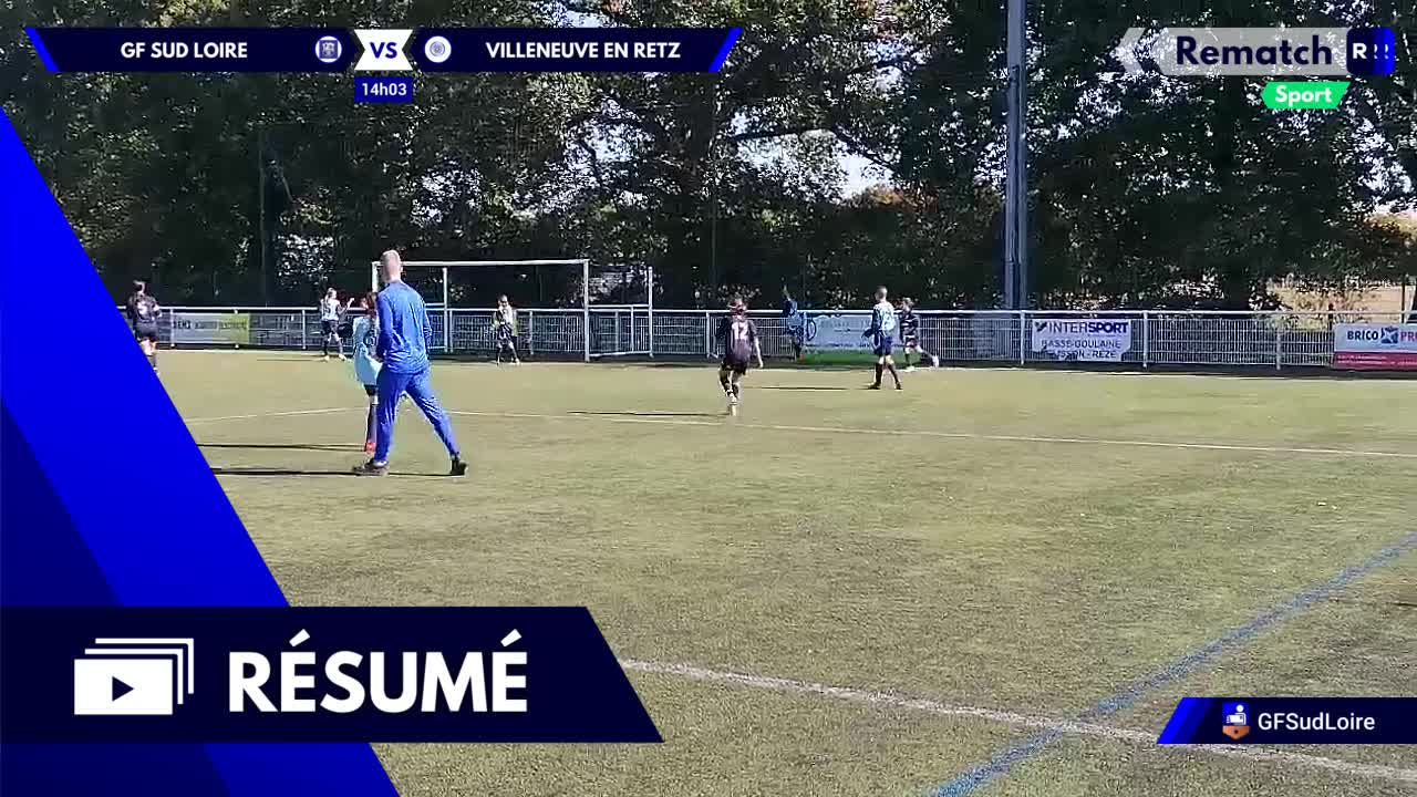 Vignette du résumé