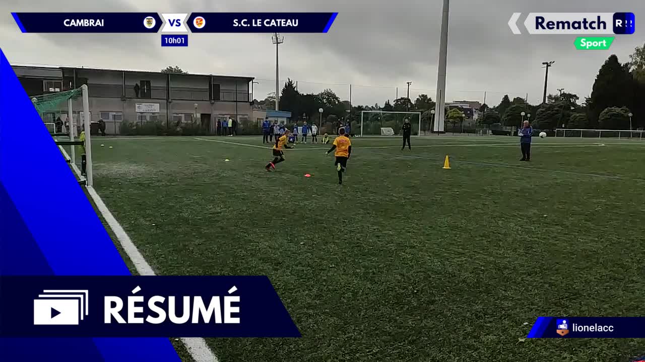 Vignette du résumé