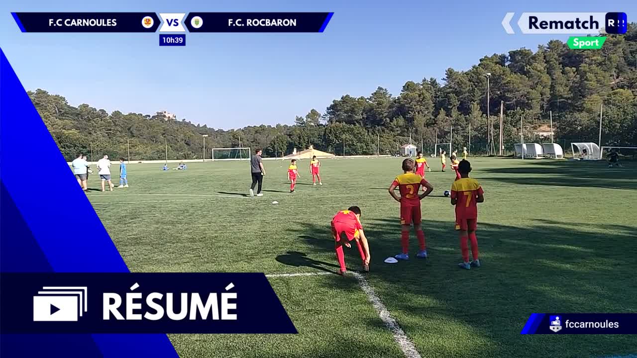 Vignette du résumé