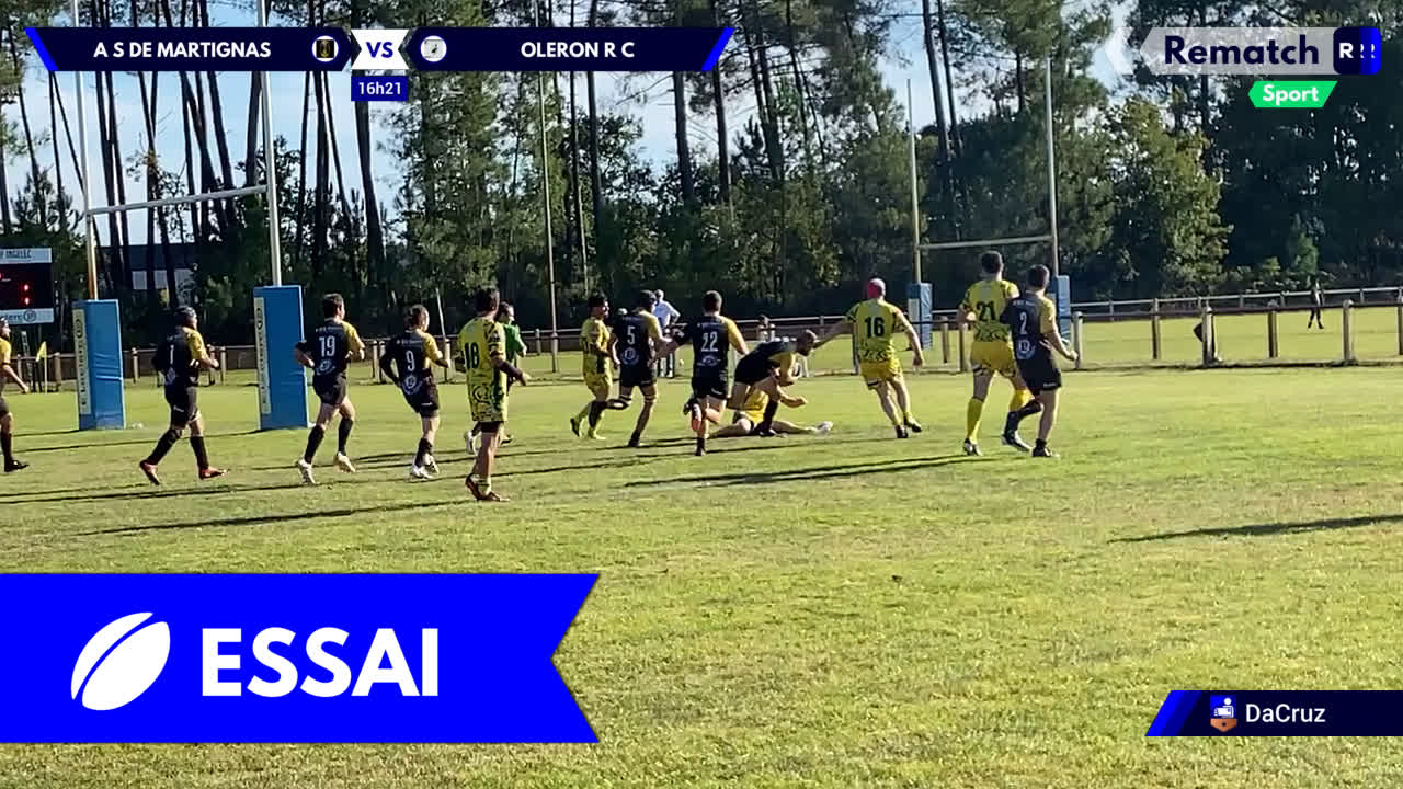 Vignette de la vidéo