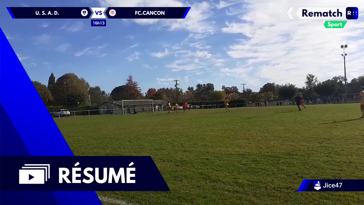 Vignette du résumé