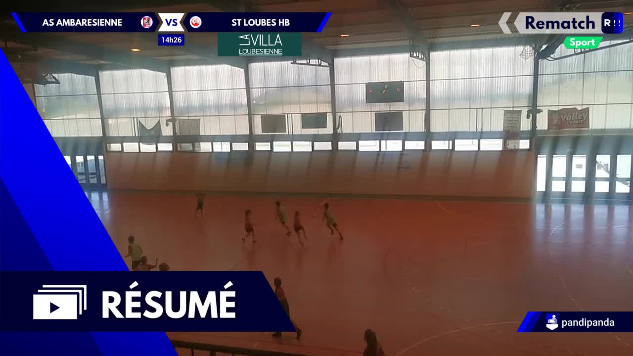 Vignette du résumé