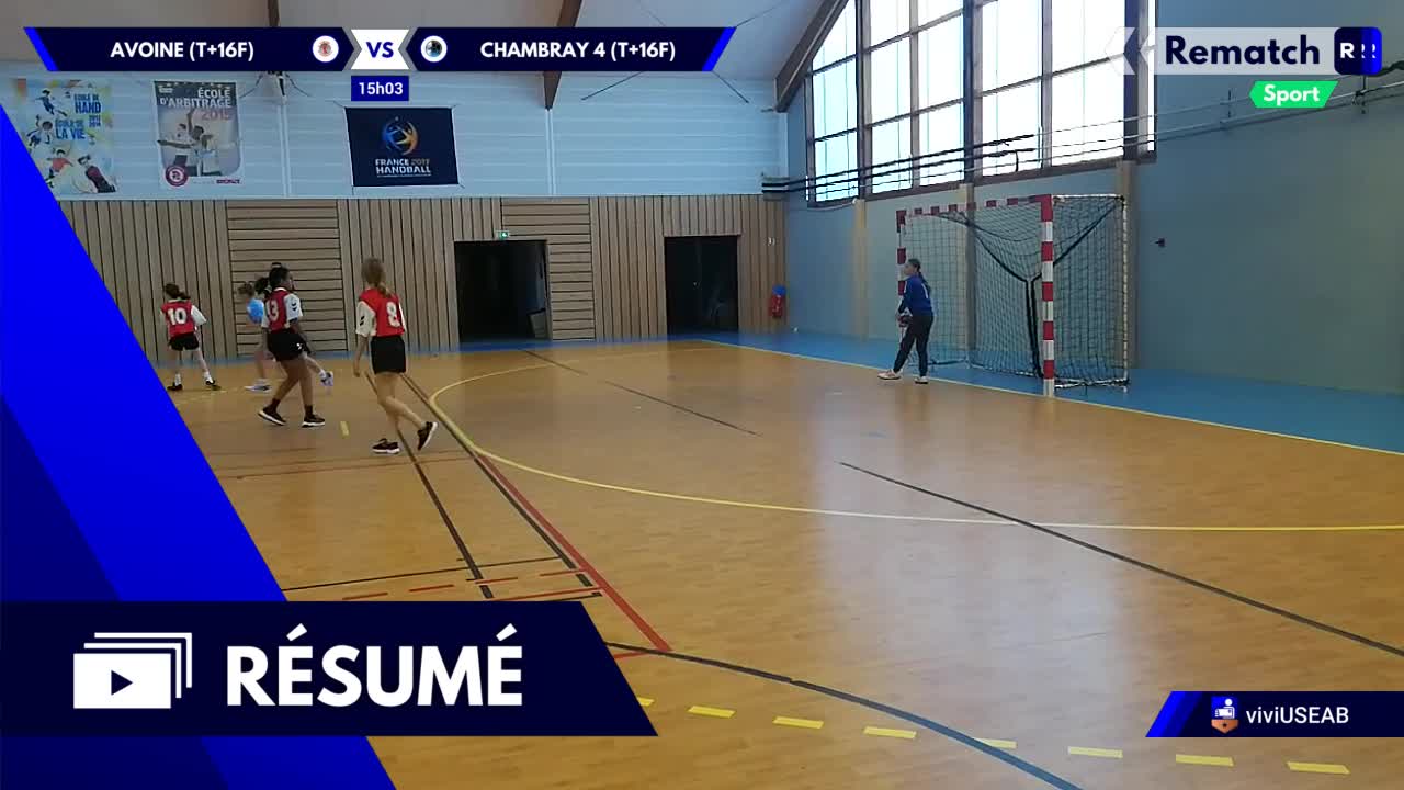 Vignette du résumé