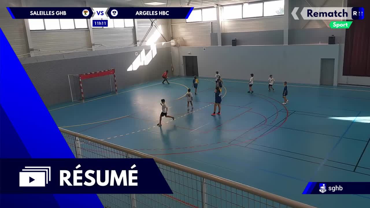 Vignette du résumé