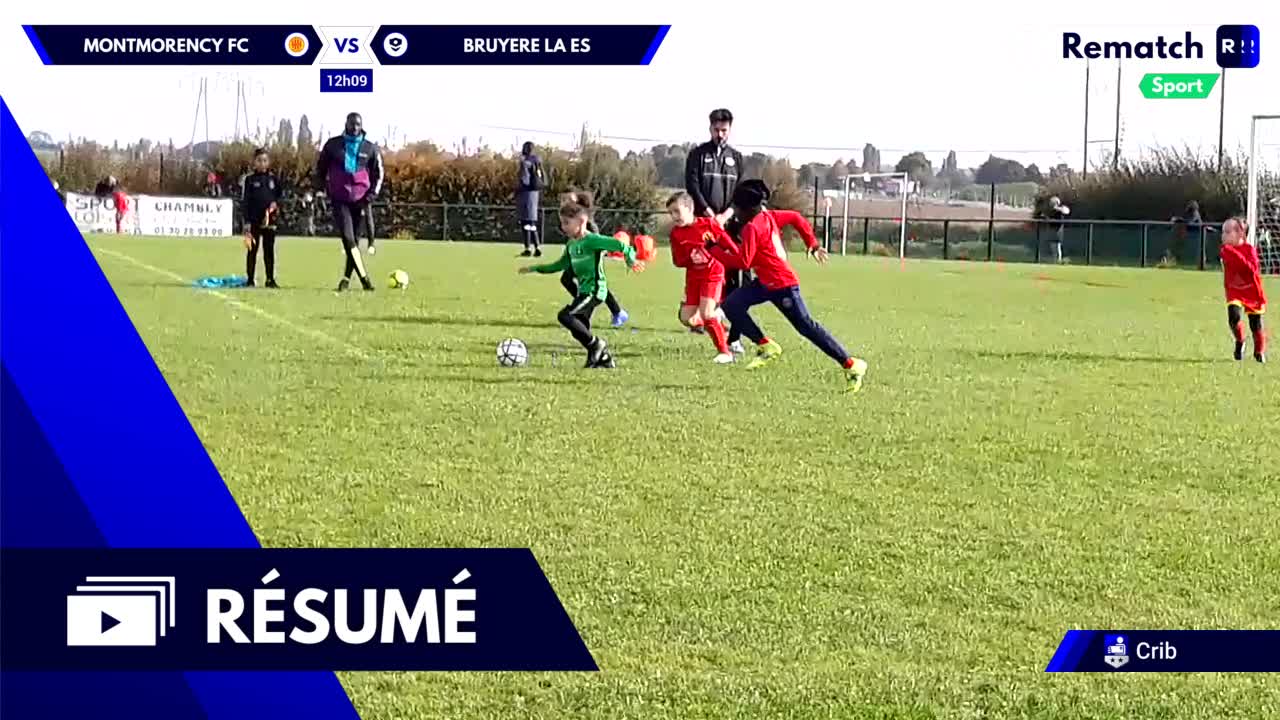 Vignette du résumé