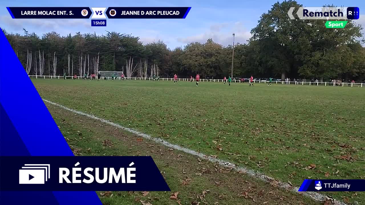 Vignette du résumé