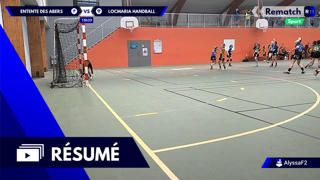 Vignette du résumé