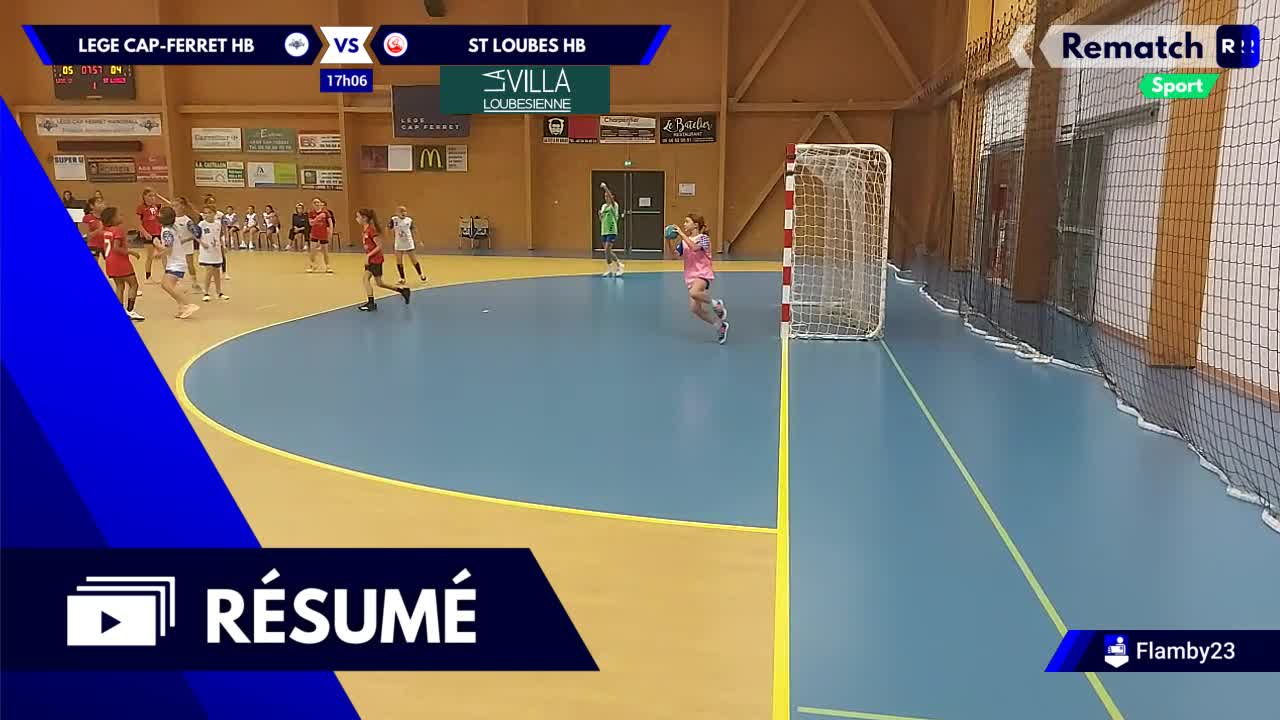 Vignette du résumé