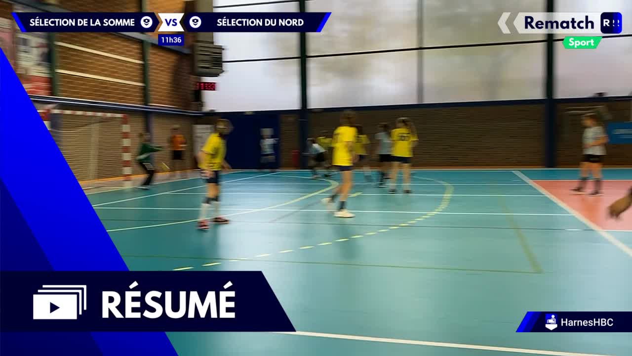 Vignette du résumé