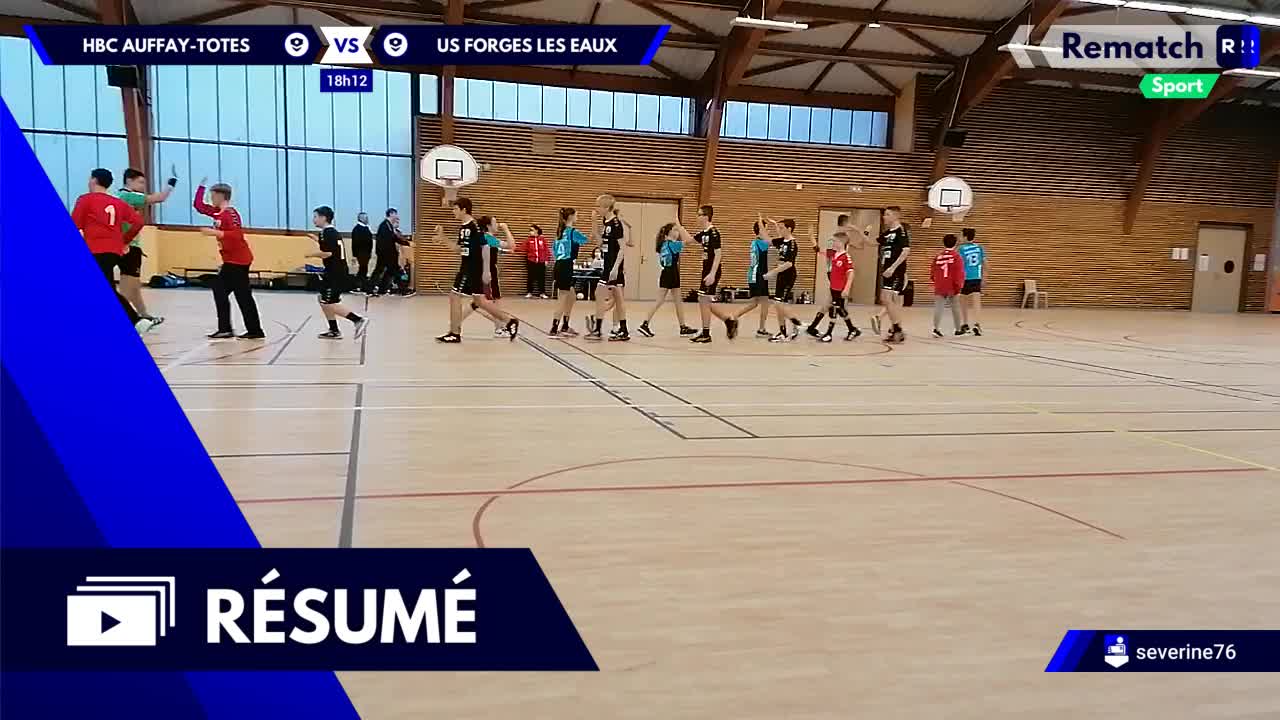Vignette du résumé