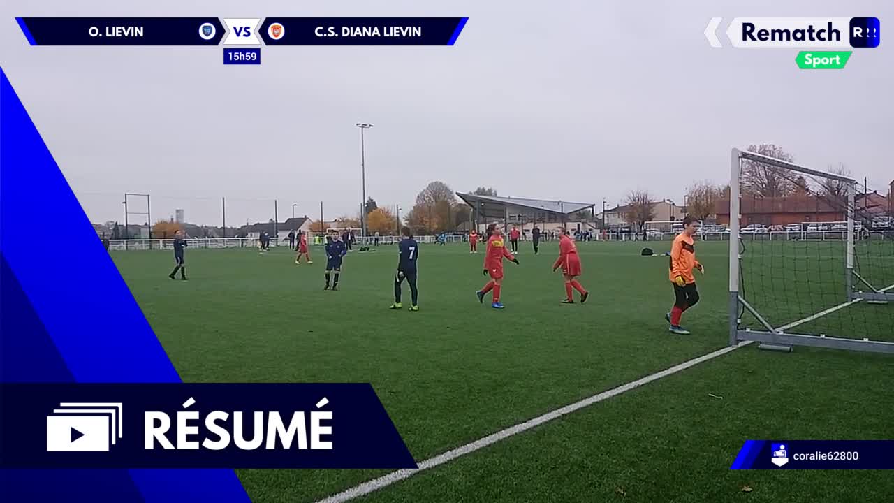 Vignette du résumé