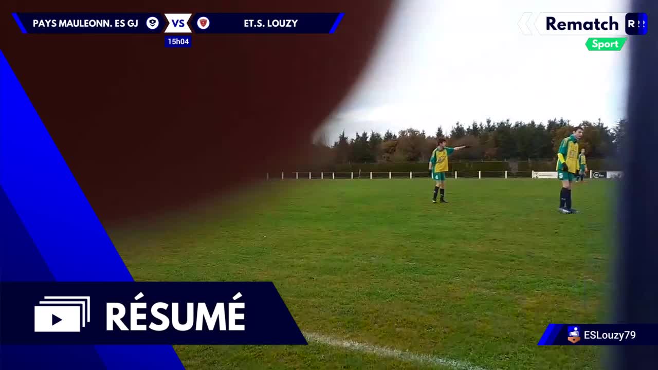 Vignette du résumé