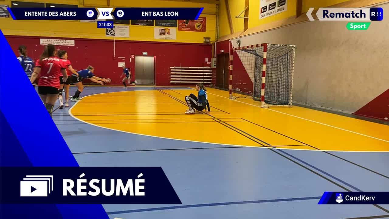 Vignette du résumé