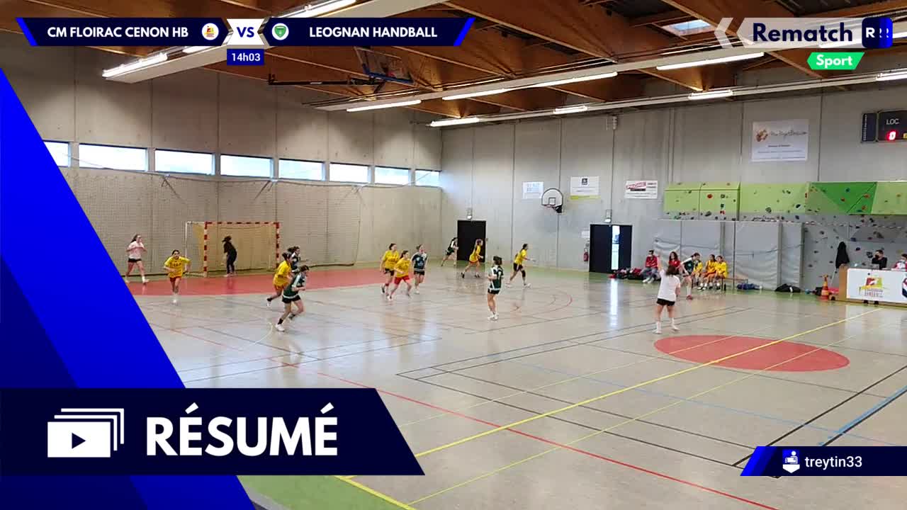 Vignette du résumé