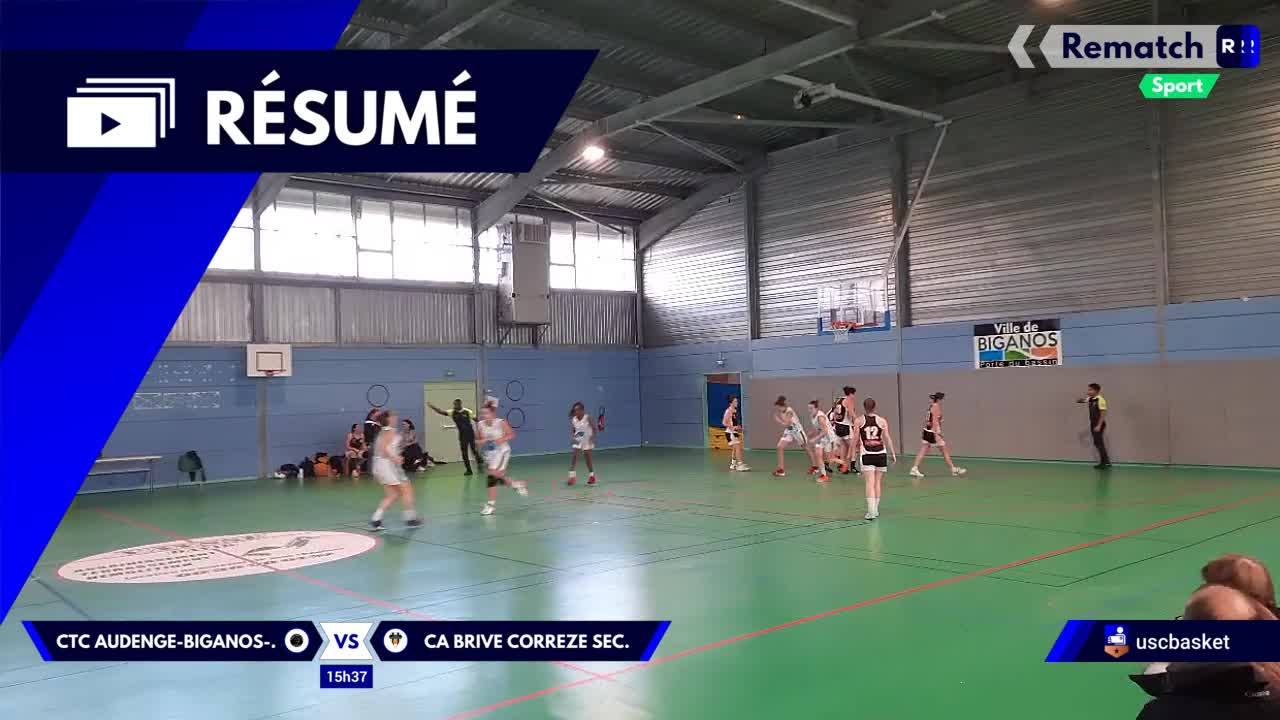 Vignette du résumé