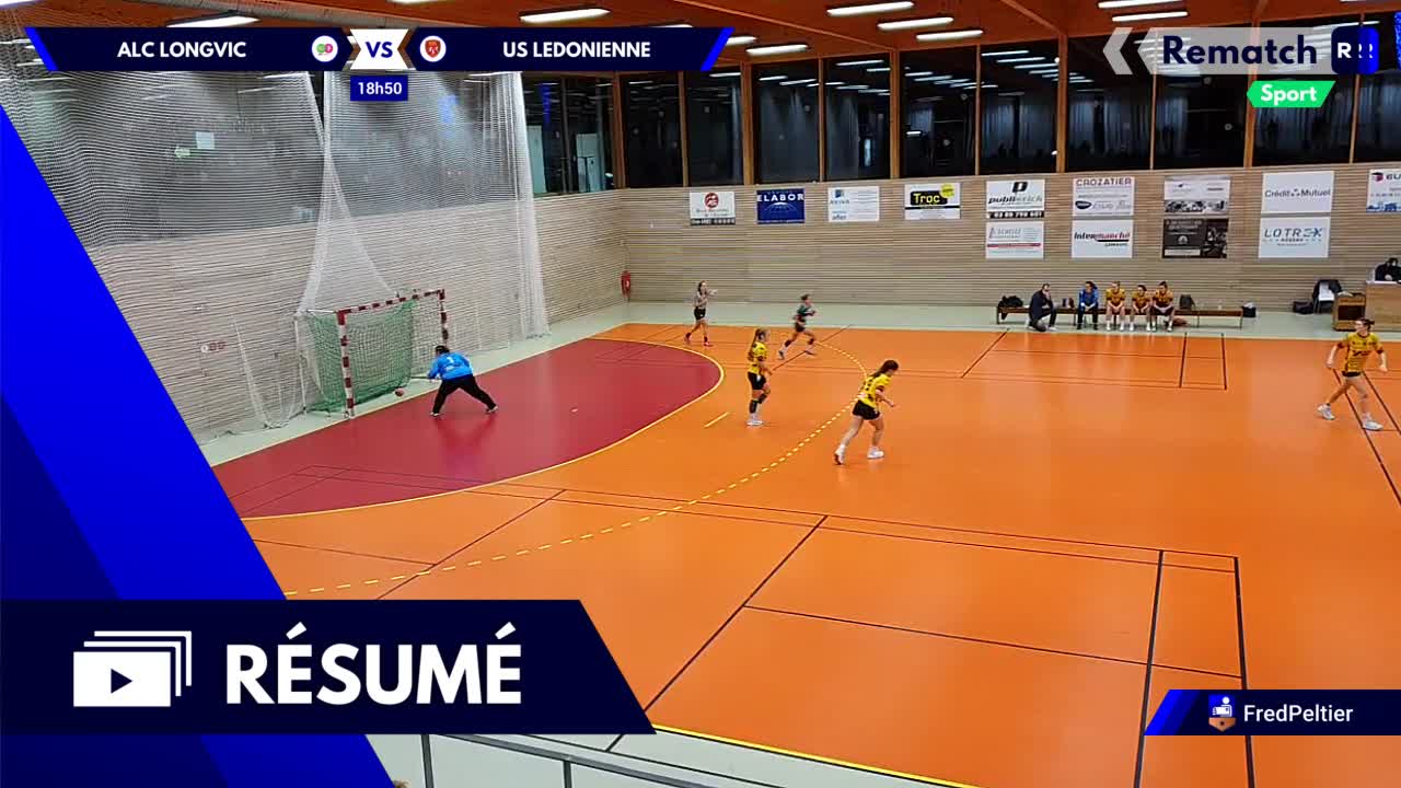 Vignette du résumé