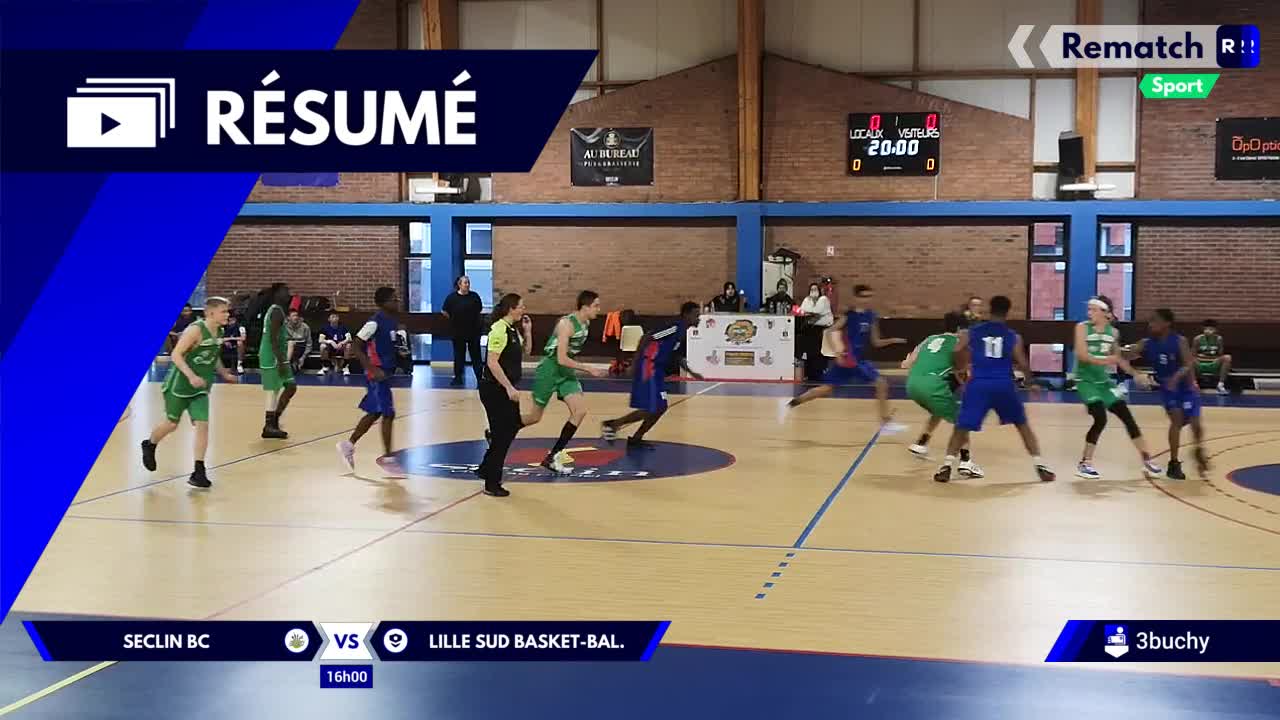 Vignette du résumé