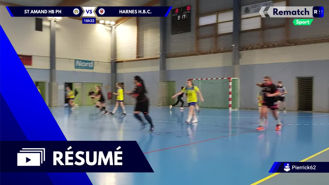 Vignette du résumé