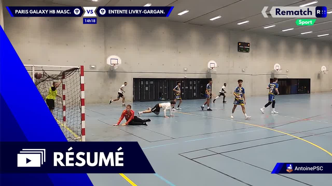 Vignette du résumé