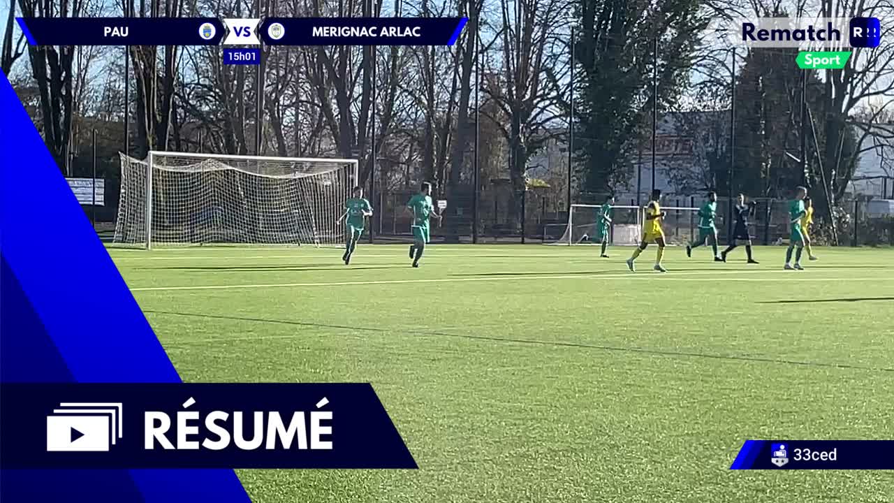 Vignette du résumé