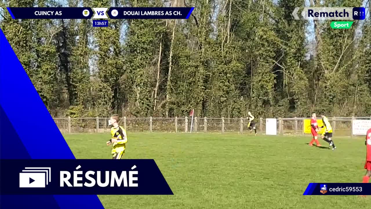 Vignette du résumé