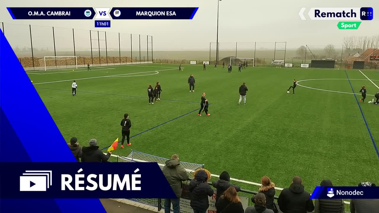 Vignette du résumé