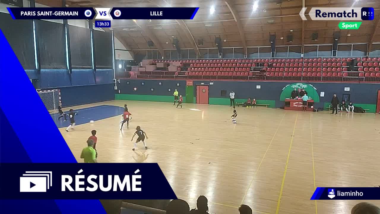 Vignette du résumé