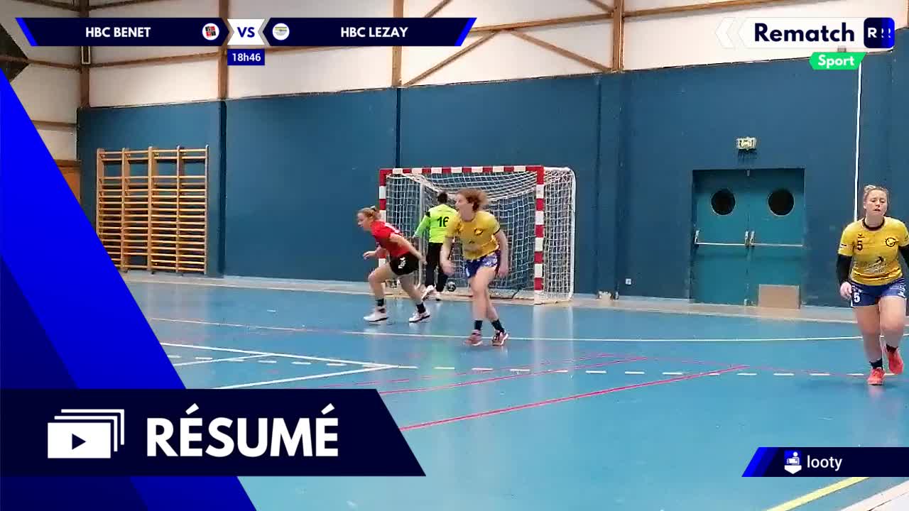 Vignette du résumé