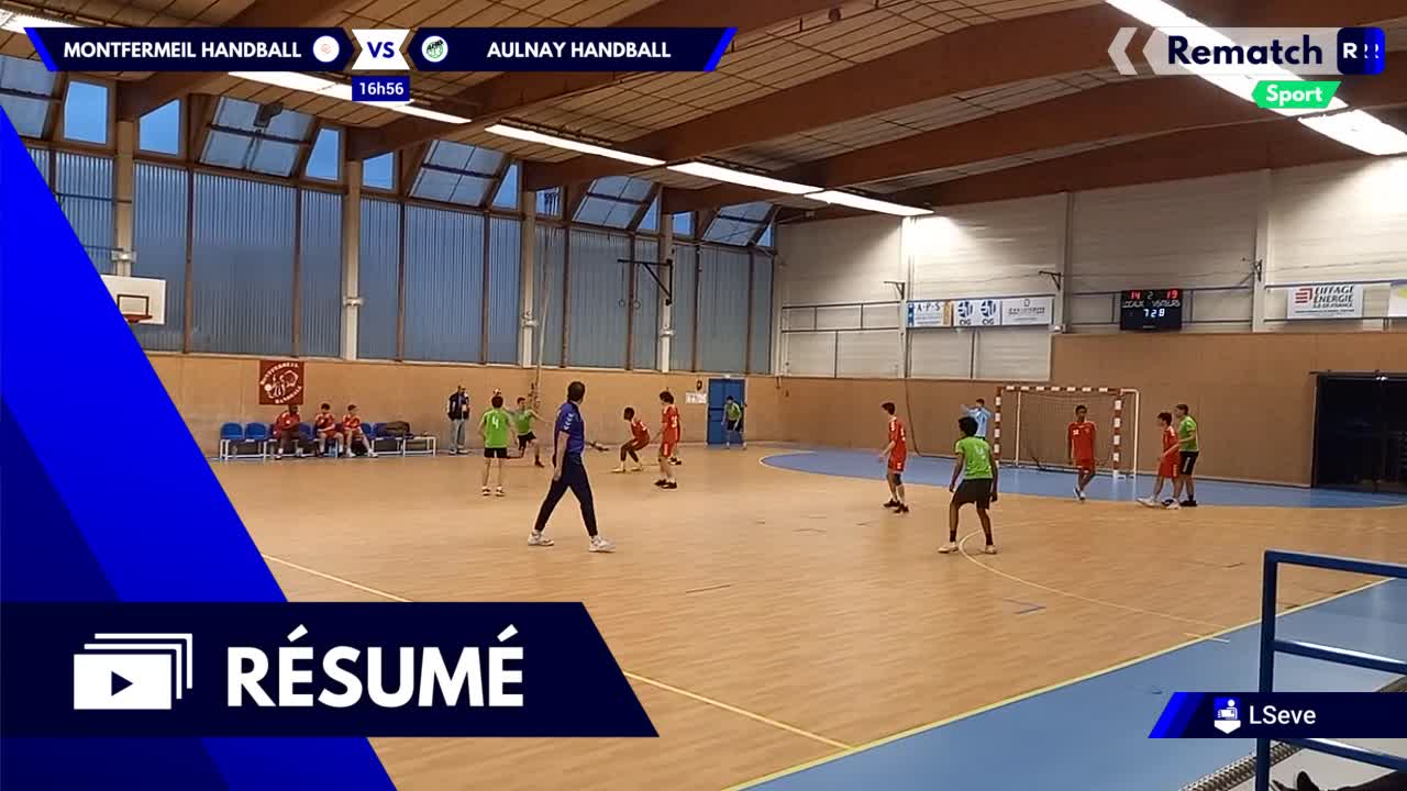 Vignette du résumé