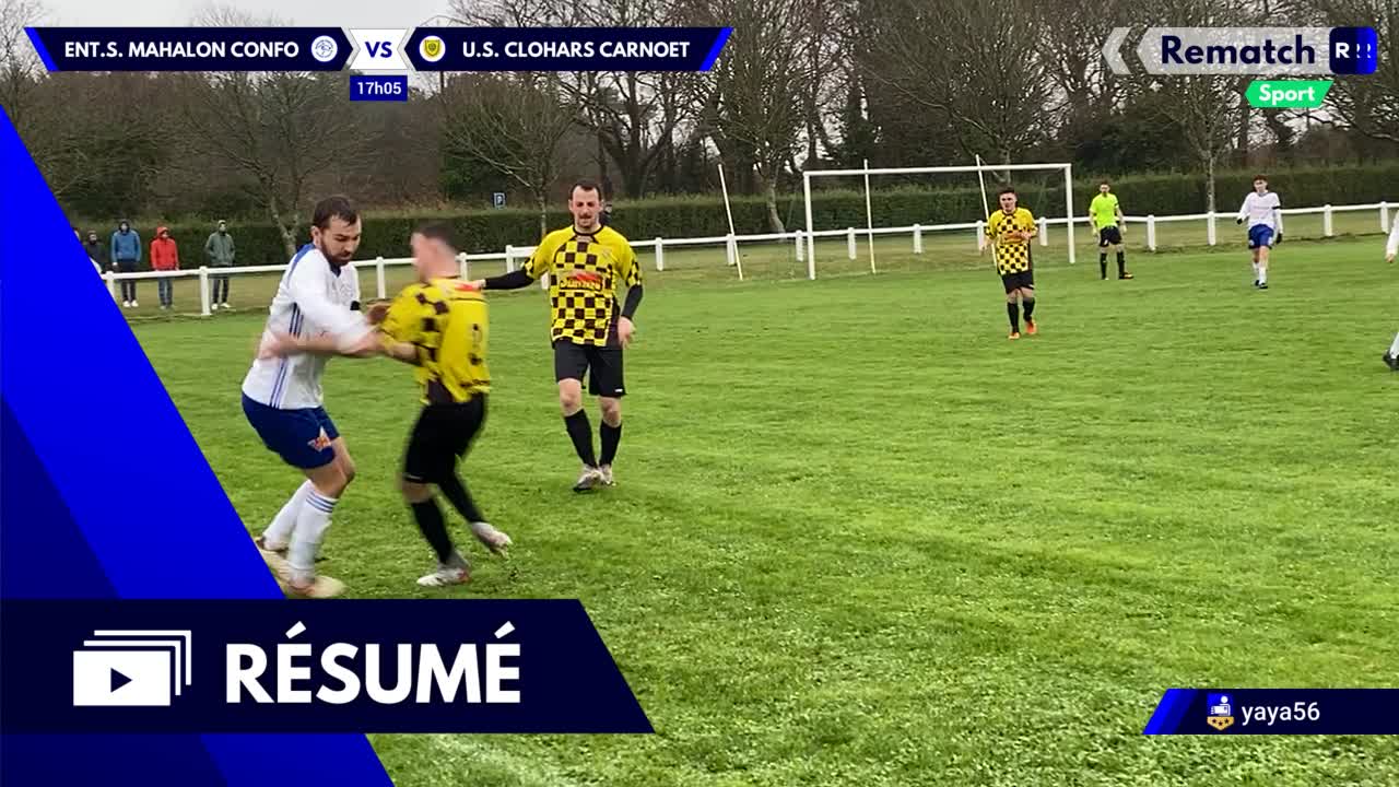Vignette du résumé