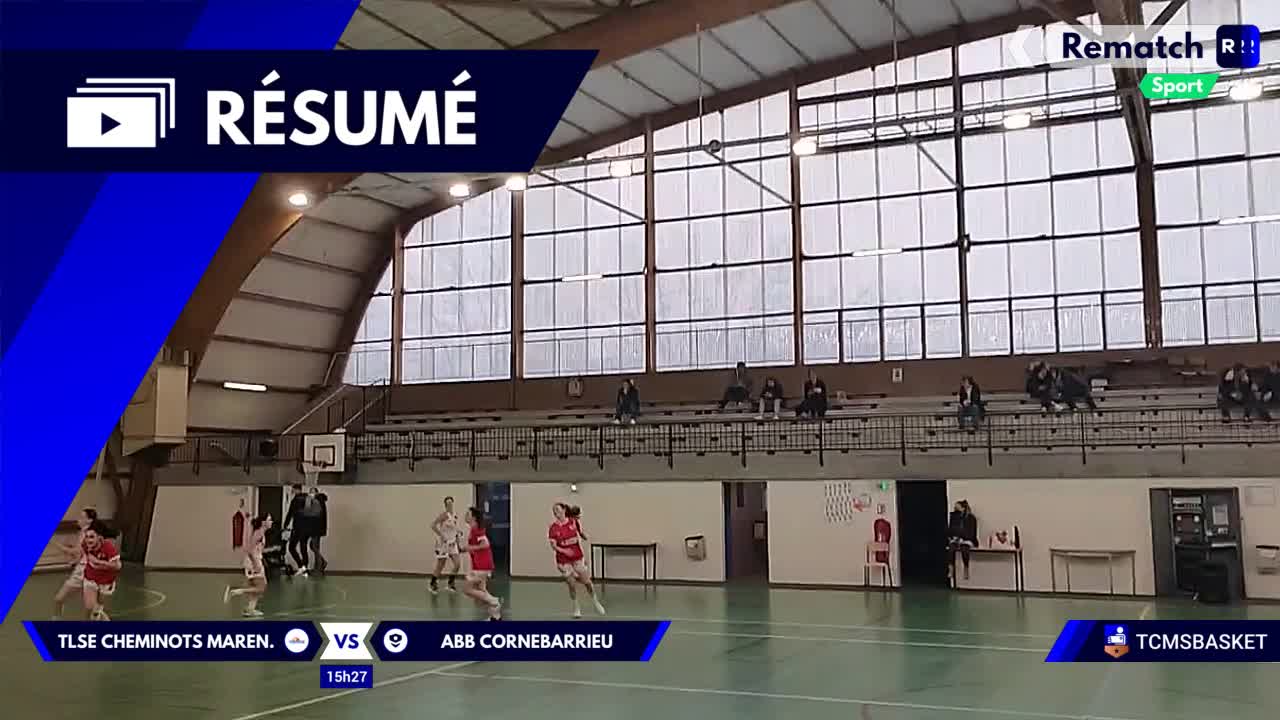 Vignette du résumé