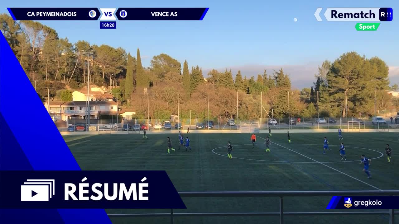 Vignette du résumé