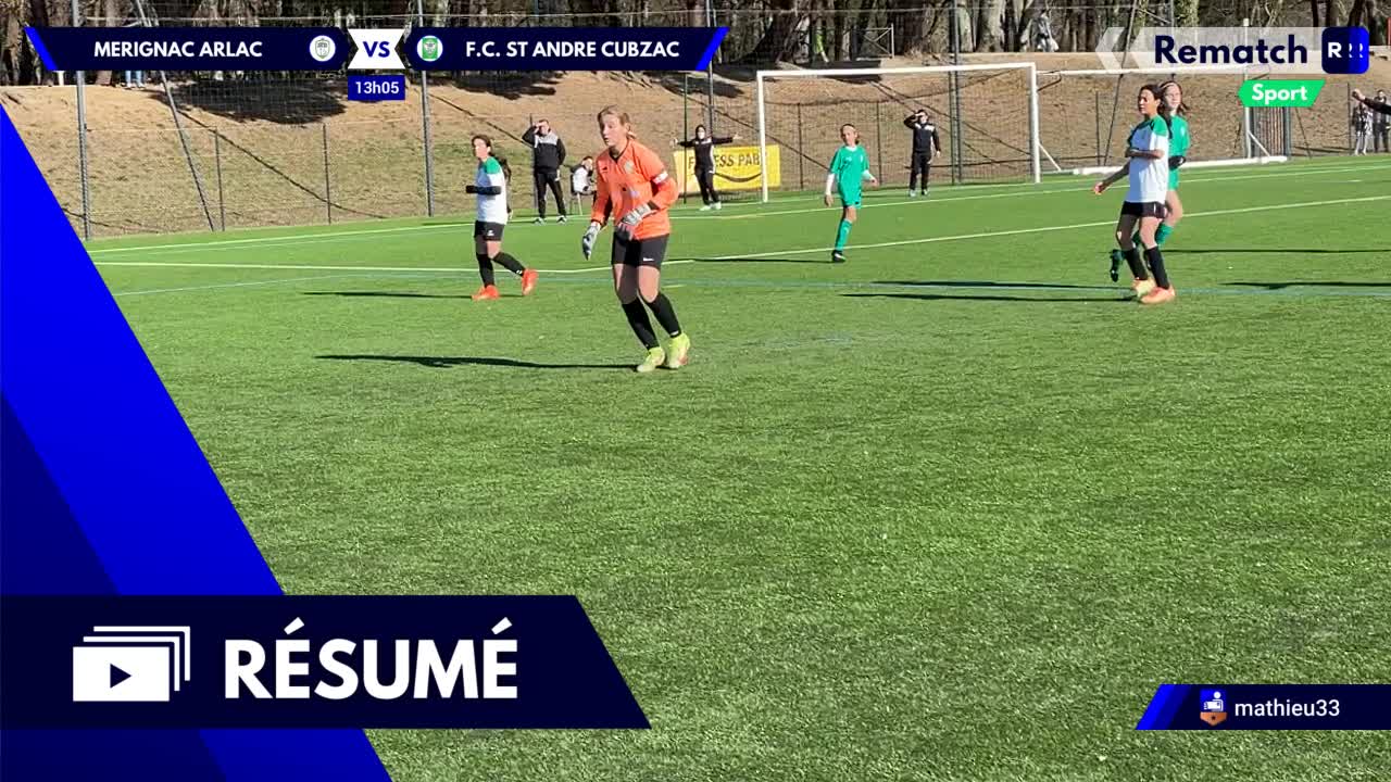 Vignette du résumé