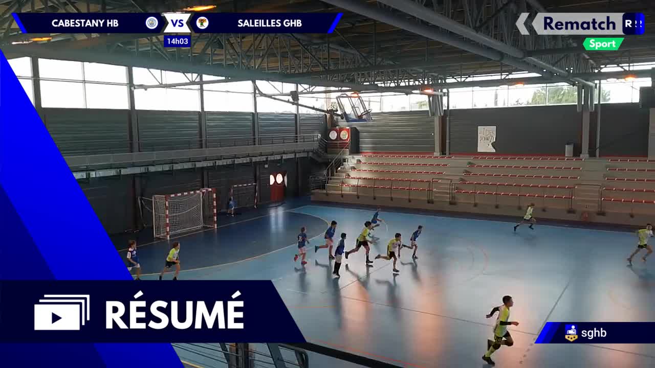 Vignette du résumé