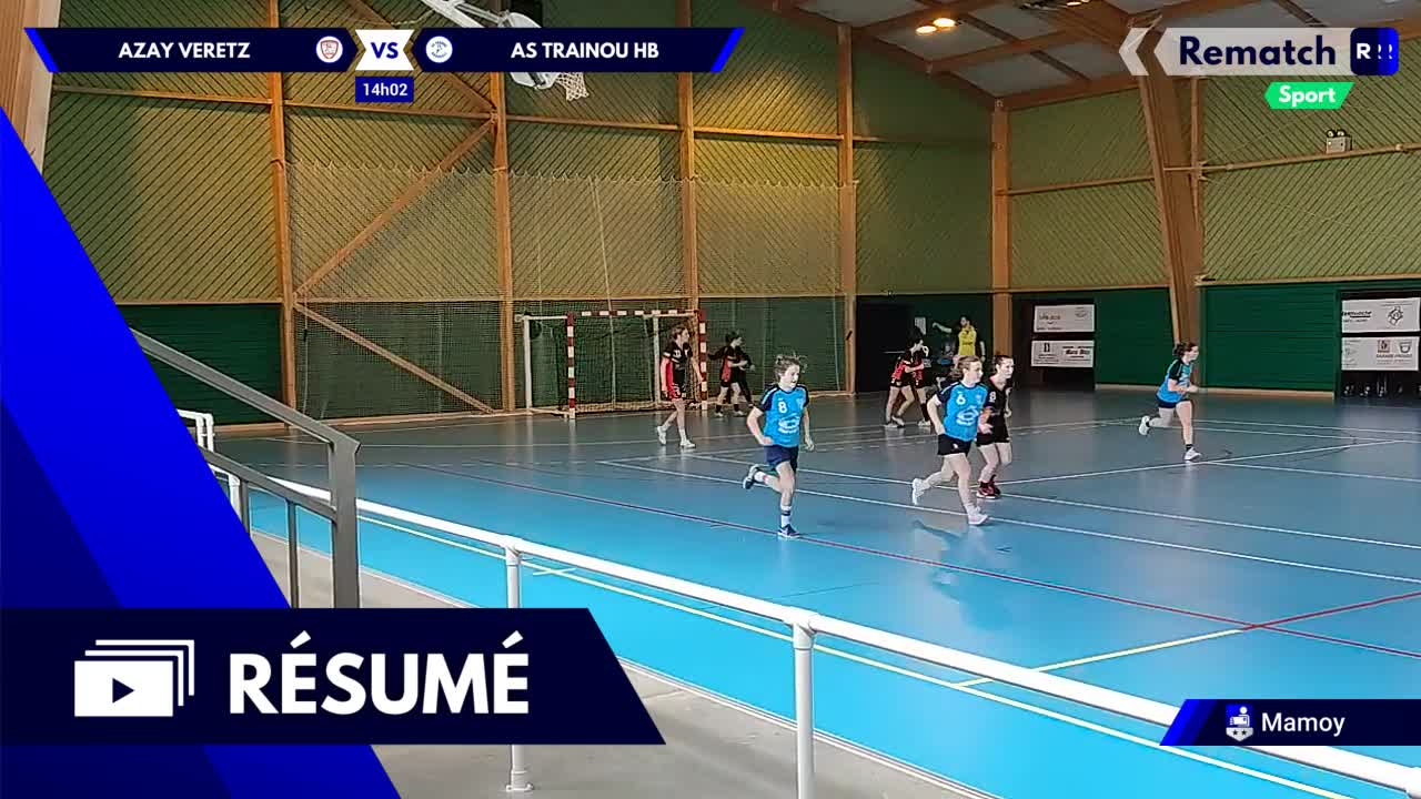 Vignette du résumé