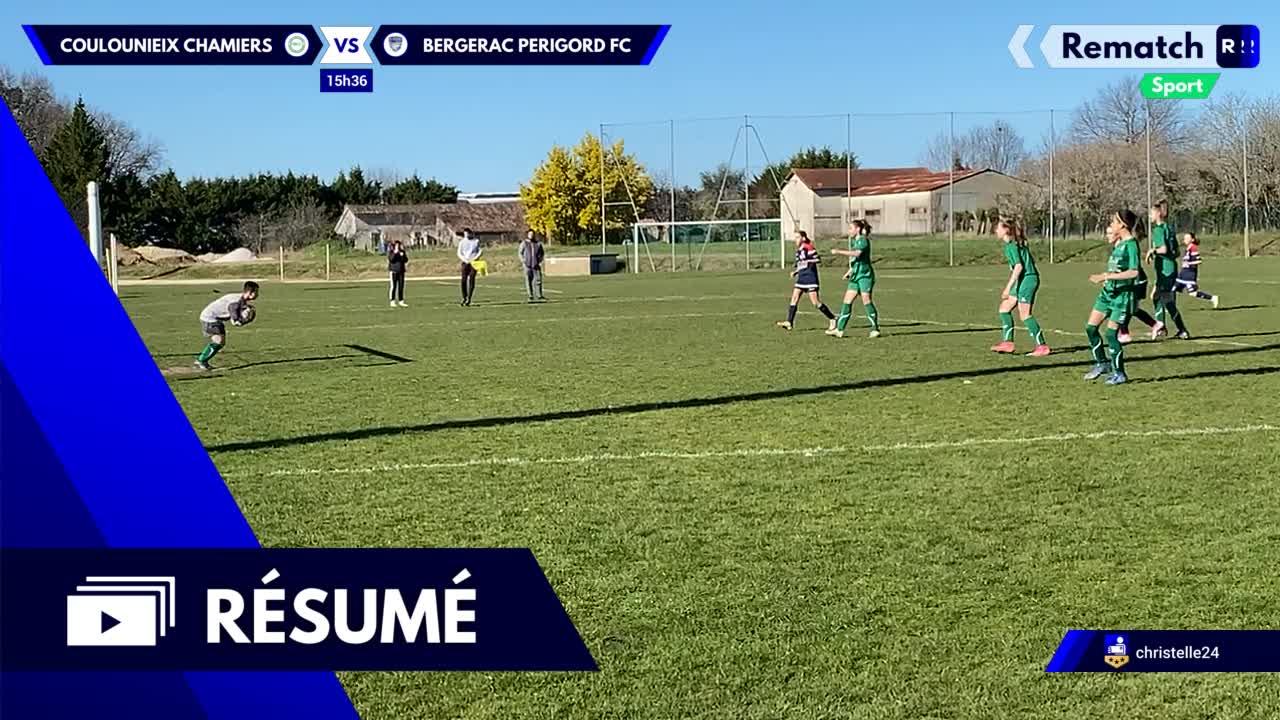 Vignette du résumé