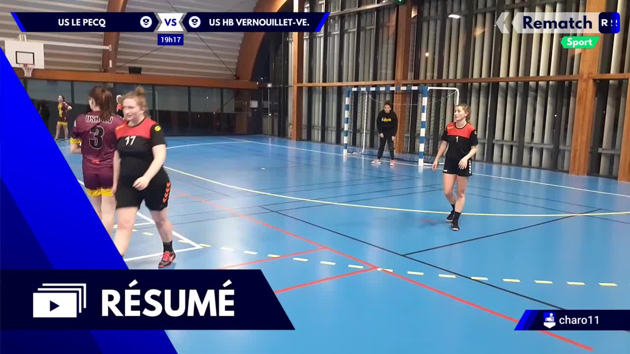 Vignette du résumé