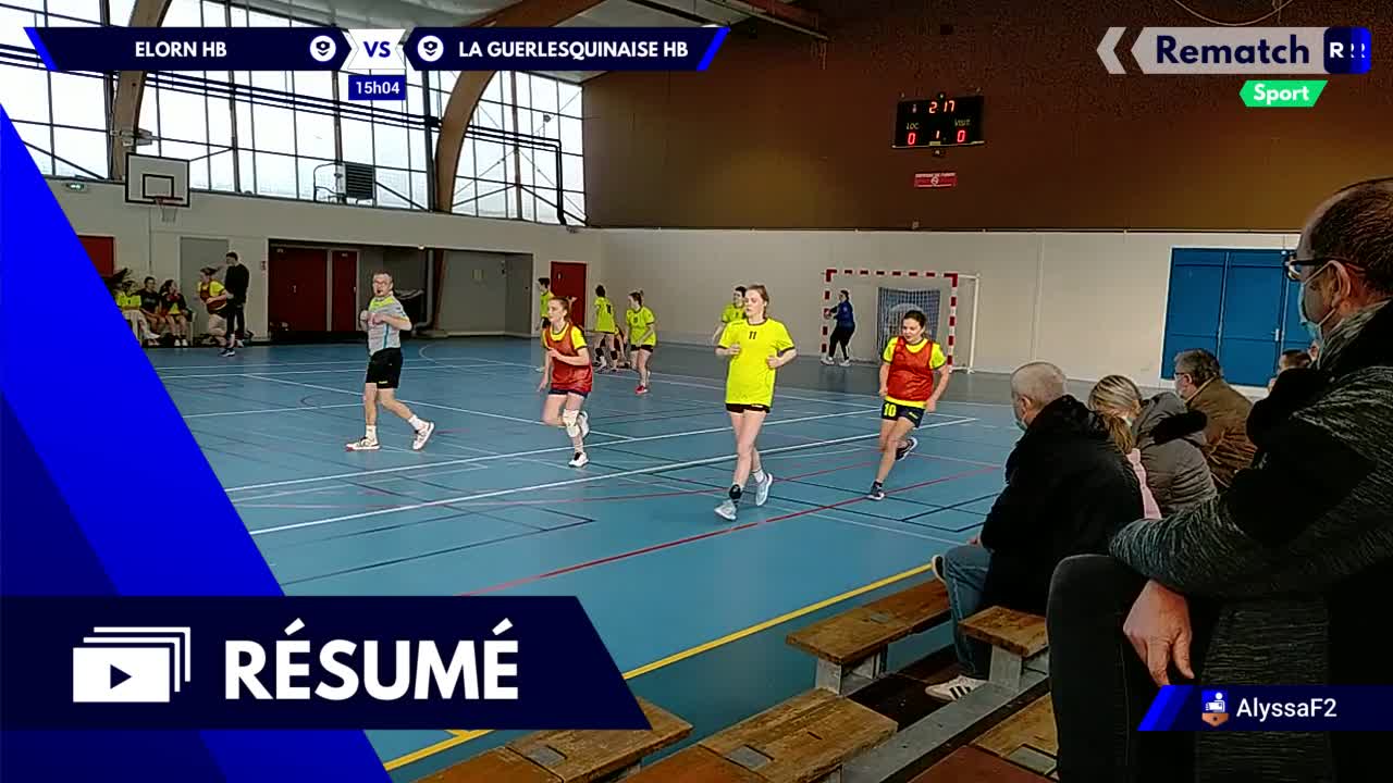 Vignette du résumé