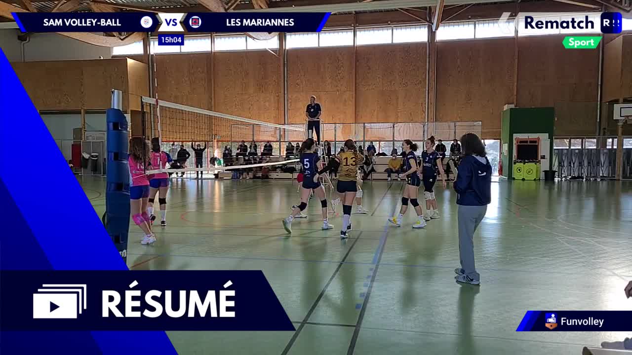 Vignette du résumé