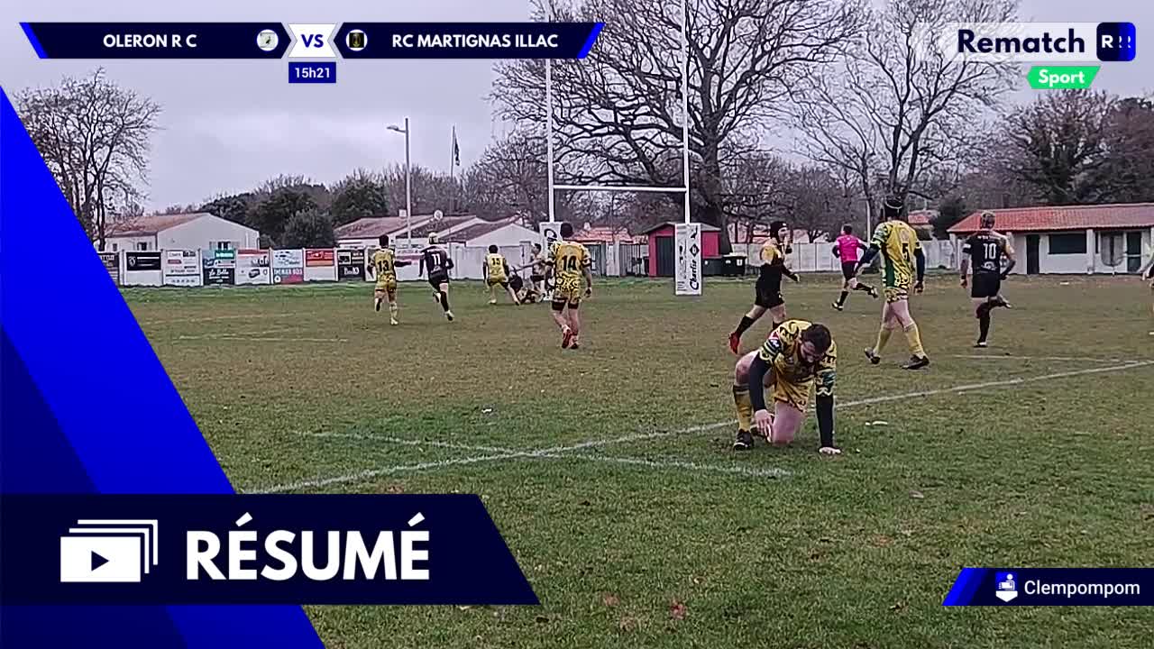 Vignette du résumé