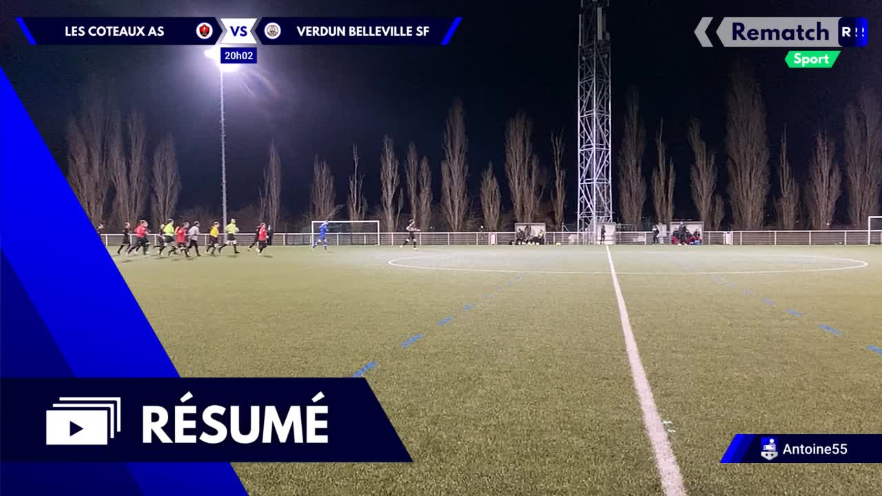Vignette du résumé