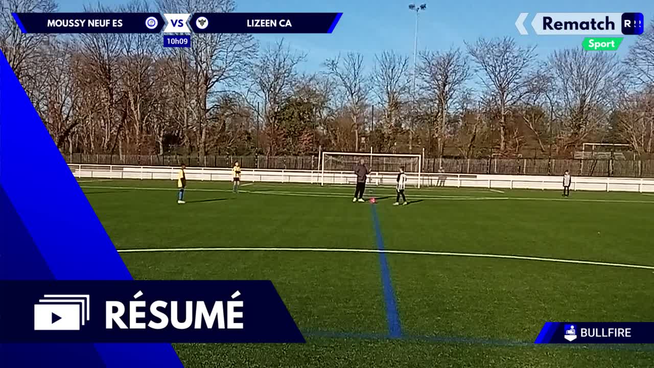 Vignette du résumé