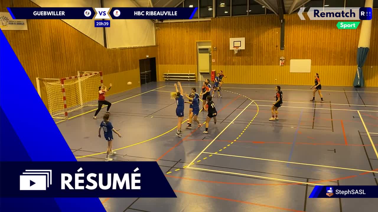Vignette du résumé