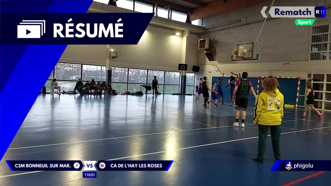 Vignette du résumé