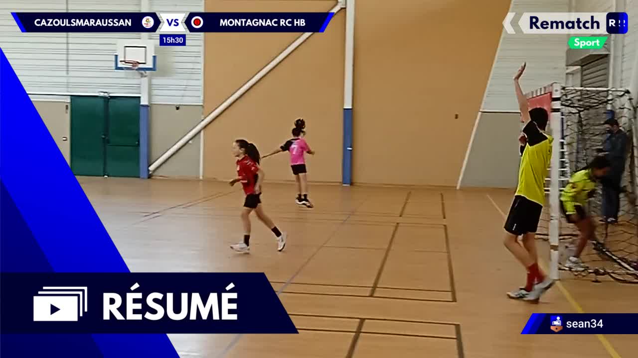 Vignette du résumé